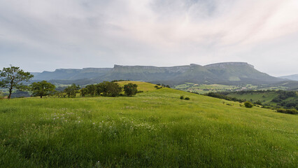 Fototapeta premium Lush Green Hills with Farmland and Majestic Cliffs in Basque Country