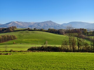 autumn landscape with green meadows and trees near the village of Tichá
