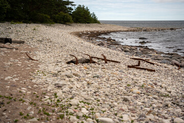 Urlaubsziel &Ouml;land &ndash; Naturerlebnis im K&uuml;stenwald