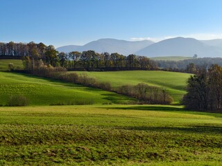 autumn landscape with green meadows and trees near the village of Tichá