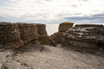 Naturwunder im Reservat auf Öland. Neptuni åkrar