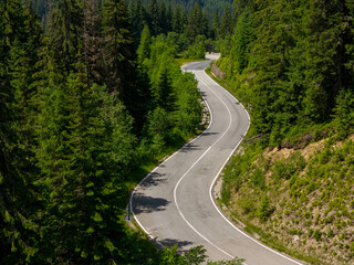 Winding road trough dense pine forest. Aerial drone view, top down