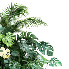 Vibrant Green Plant with Lush Leaves and Bright Yellow Flowers Flourishing in Natural Habitat Creating a Cheerful and Inviting Atmosphere of Growth