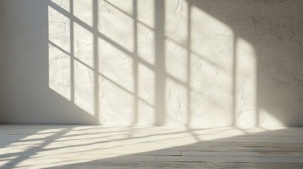 Sunlight casts window shadows on a textured wall and wooden floor.