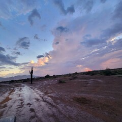 Purple Arizona sunset in the muddy desert