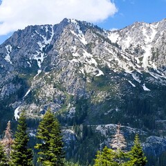 Snow cap mountain landscape with trees