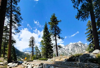 Tree and mountain landscape along curvy road