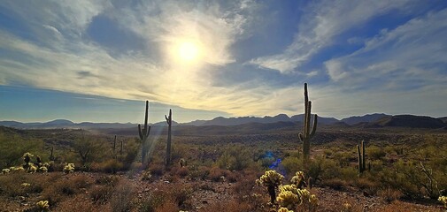 Vintage Arizona desert landscape at dusk