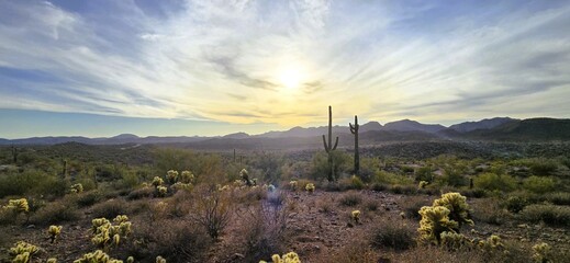 Arizona Desert Landscape at Dusk