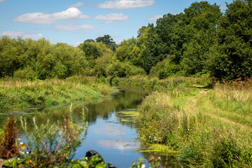 View from a boat on the winding river Stort