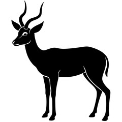 Fototapeta premium antelope black silhouette vector with white background. Wild animal vector, Deer Vector 