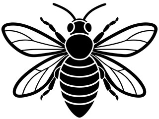 bee black silhouette vector with white background. insect silhouette. 