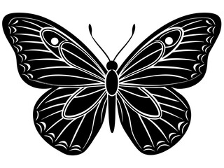 butterfly black silhouette vector with white background.