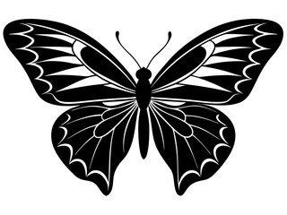 butterfly black silhouette vector with white background.