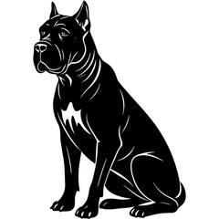  cane corso dog black silhouette vector with white background.