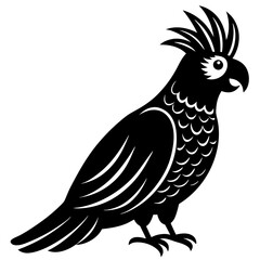 cockatoo bird black silhouette vector with white background. Wild animal vector