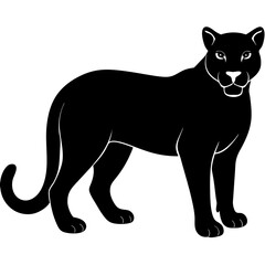 cougar black silhouette vector with white background. Wild animal vector