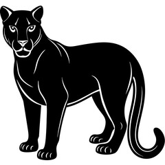 cougar black silhouette vector with white background. Wild animal vector
