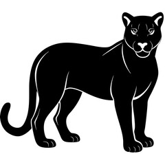 cougar black silhouette vector with white background. Wild animal vector