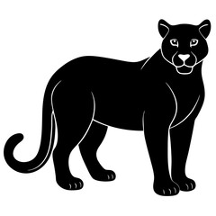 cougar black silhouette vector with white background. Wild animal vector
