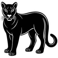 cougar black silhouette vector with white background. Wild animal vector