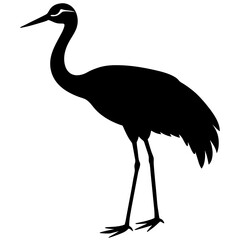 Fototapeta premium crane bird black silhouette vector with white background. Wild animal vector