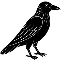 crow bird black silhouette vector with white background. Wild animal vector