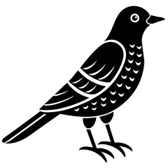 cuckoo bird black silhouette vector with white background. Wild animal vector