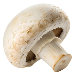 Champignon forest mushroom isolated on the transparent background