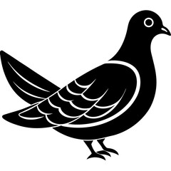Obraz premium dove bird black silhouette vector with white background. Wild animal vector