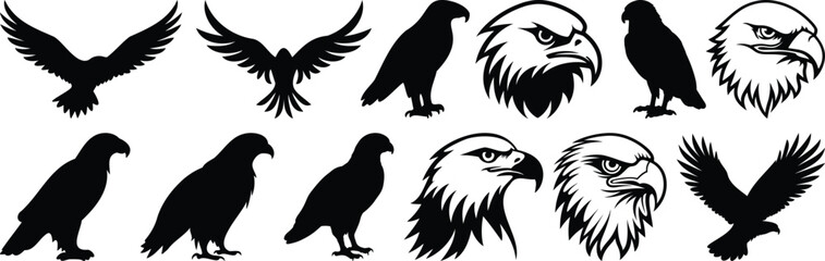 Eagle silhouette set vector design big pack of bird illustration and icon