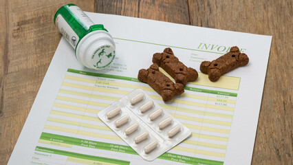 Veterinarian bill invoice with stethoscope and dog biscuits.  Vet medicine cost of pet's concept.