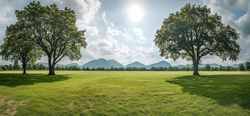 Naklejka premium On a glorious spring afternoon, the beauty of rolling hills comes into focus, their slopes covered in a tapestry of blooming flowers, while towering snowcapped mountains dominate the horizon, set