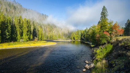 Misty morning light on a river winding through a forest. Autumn colors emerge. Selway River, Lowell, Idaho, USA.