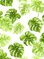 Tropical green leaves with a white backdrop, featuring the abundant foliage of large golden pothos or Devil’s ivy (Epipremnum aureum), a plant native to the tropics