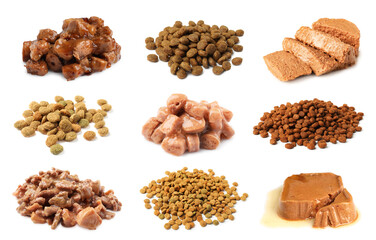 Wet and dry pet food on white background, set