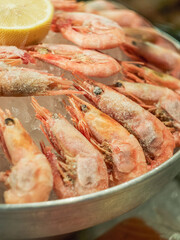 Big plate magadan shrimps