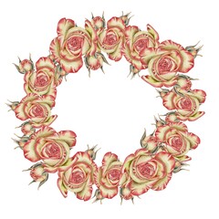 Yellow and pink roses and buds and green leaves wreath. Watercolor illustration for cards, invitations, holidays Spring, birthday, Valentine's Day, wedding or Mother's Day