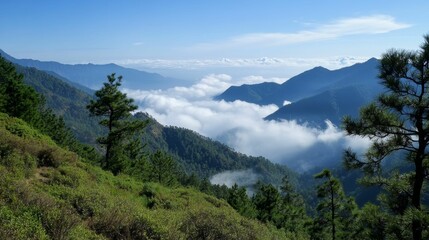Fototapeta premium Mountainous landscape, clouds, evergreen trees, valley view.