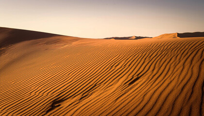 close up desert with brown background