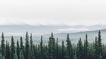 A serene landscape featuring dense evergreen trees with misty mountains in the background.