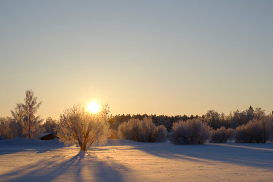 sunrise in winter