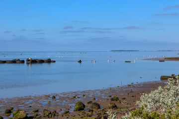 beach in the morning off suburban Melbourne