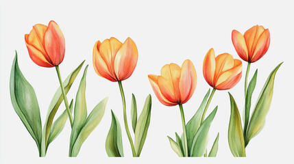 Naklejka premium Elegant wedding invitation card background vector. Minimal hand painted watercolor botanical flowers texture template background. Design for wedding, vip cover, poster, rsvp moderncard.Valentine's Day