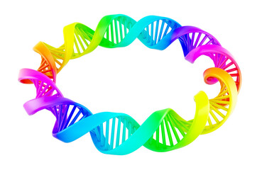 Circle from colored DNA spiral, 3D rendering isolated on transparent background