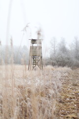 Hochsitz im Schilf bei Nebel im Winter