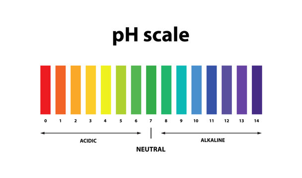 Ph scale chart indicator diagram value .Litmus test.