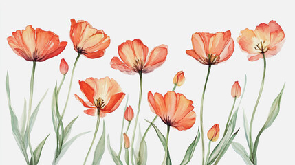 Fototapeta premium Elegant wedding invitation card background vector. Minimal hand painted watercolor botanical flowers texture template background. Design for wedding, vip cover, poster, rsvp moderncard.Valentine's Day