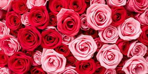 Bouquet of roses, Garden of red and pink roses, top view. Vibrant Multicolored Roses Floral Background