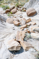 Cannonball Concretions